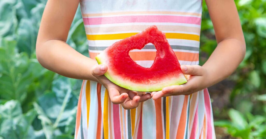 Así de saludable debe ser el menú para niños del comedor escolar